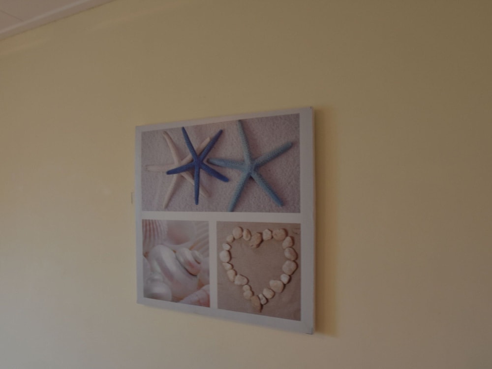 Photo 96
