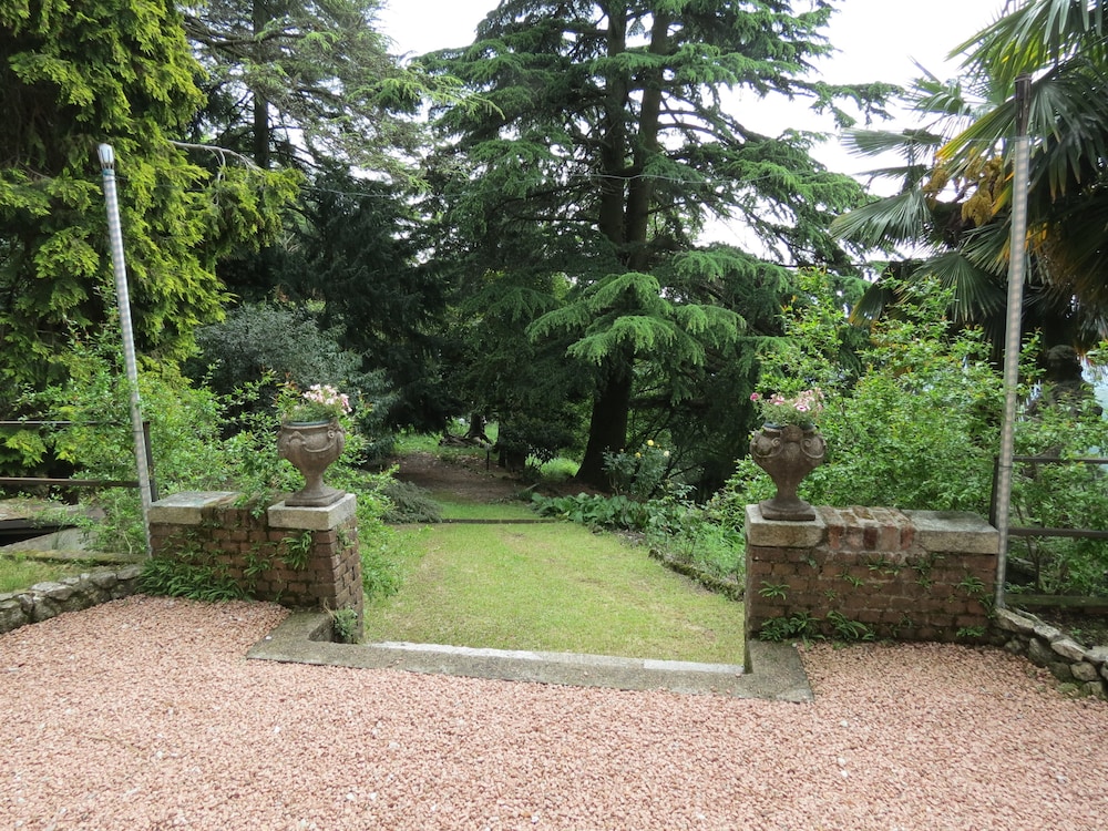 Photo 41