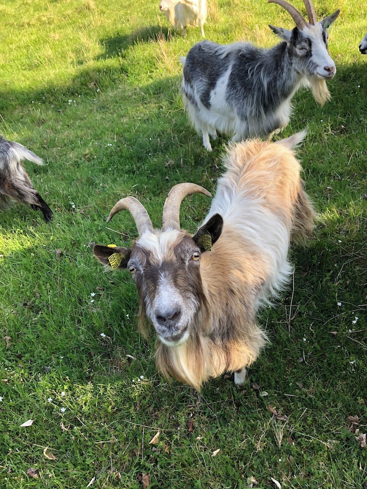 Smålandstorpet