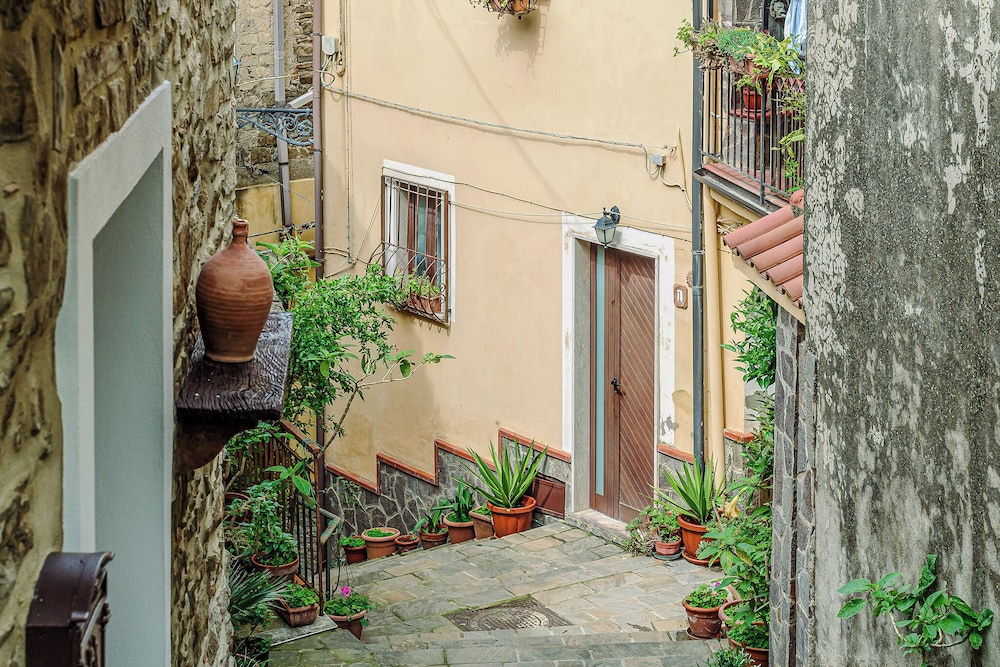 Mary's House