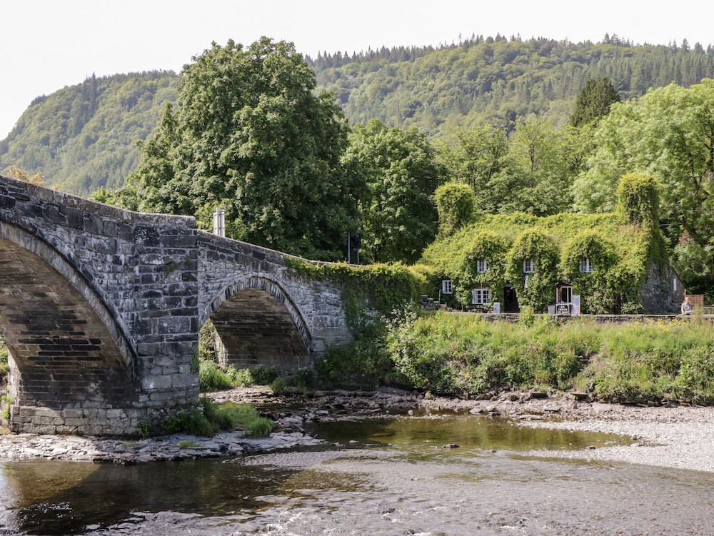 Bron Celyn Bach