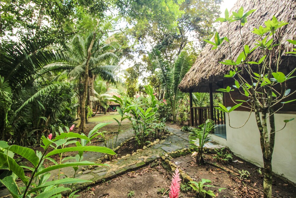 Belize Vacations - Cohune Palms River Cabanas - Property Image 5