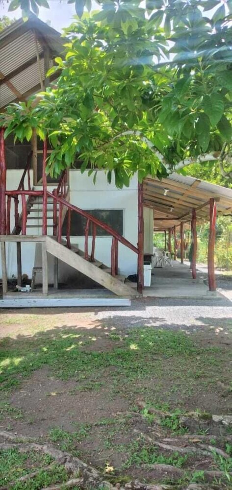 Amaya's Hostel