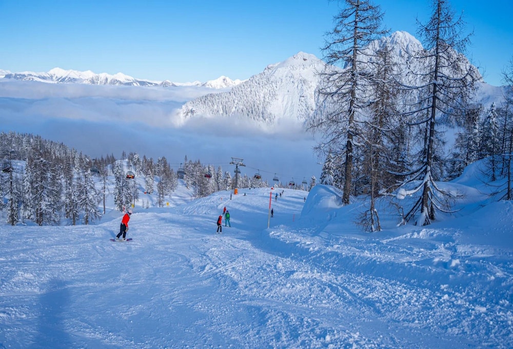 Luxury Chalet With ac Near Pressegger See