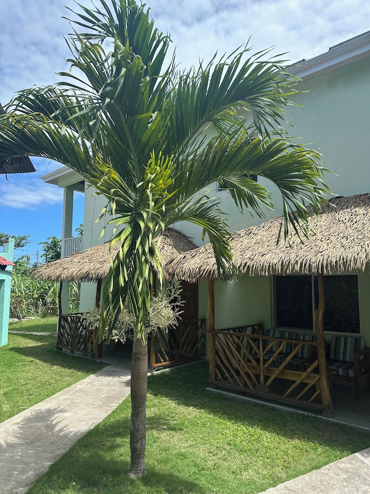 Yoga Dreams Negril