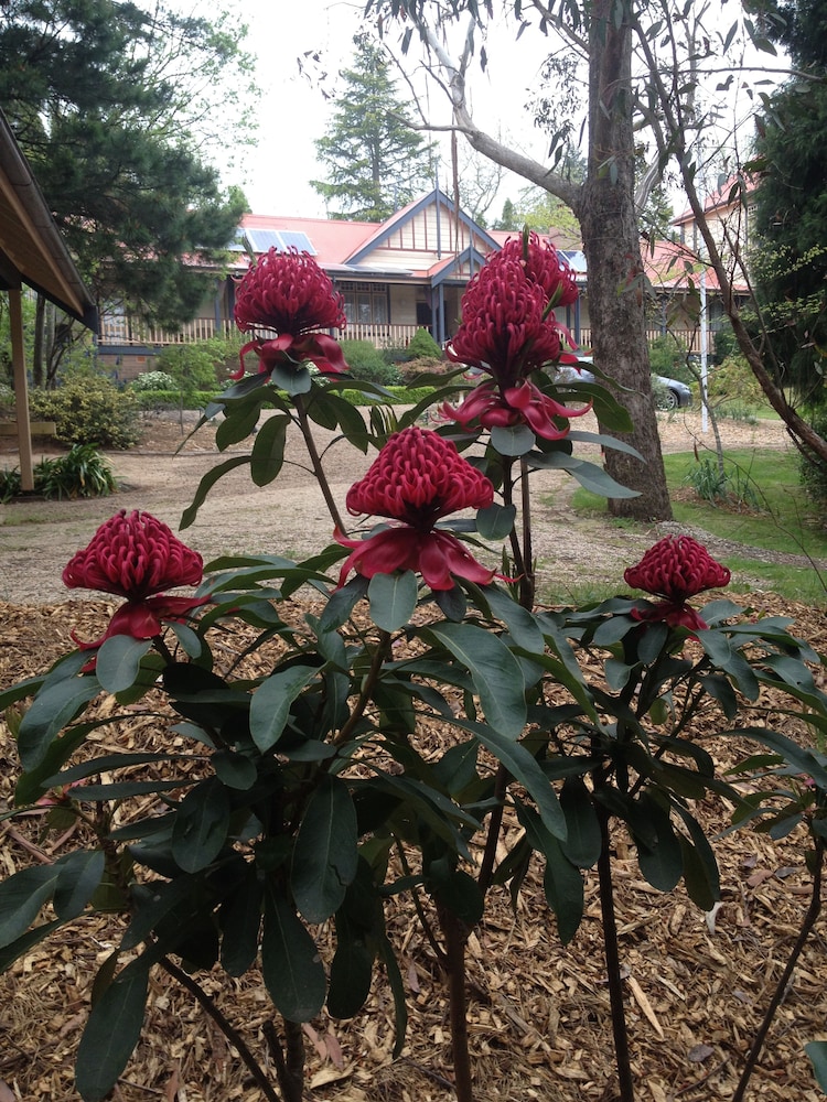 Bethany Manor Bed & Breakfast