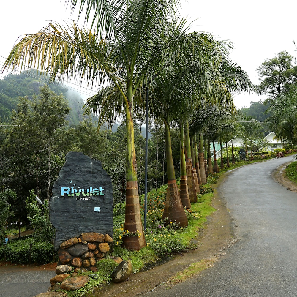 Rivulet
