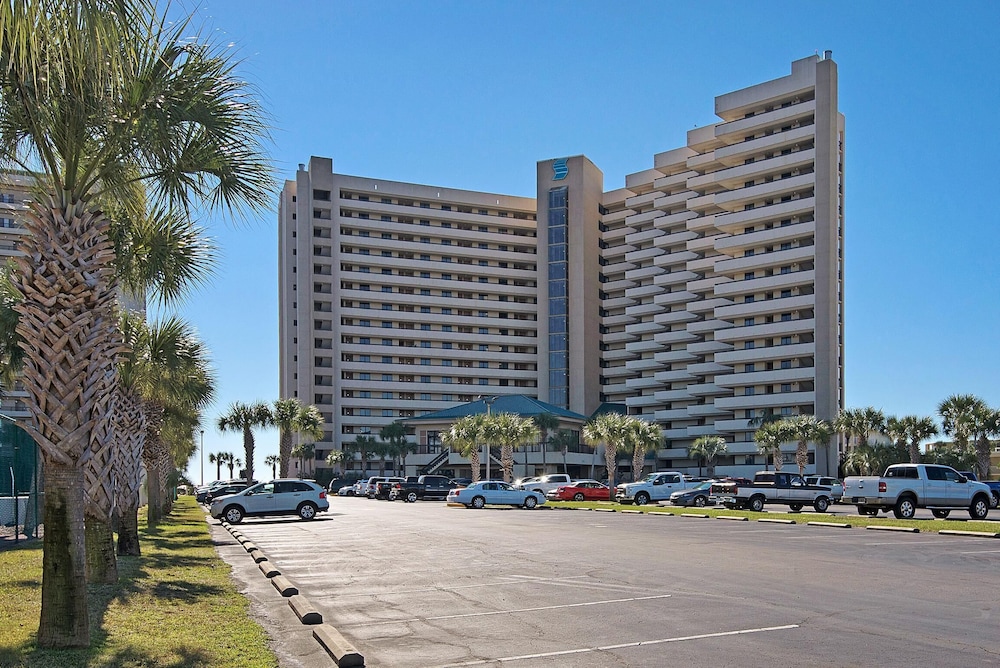 Sundestin 206
