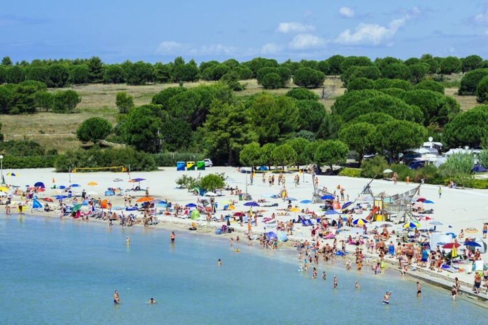 Apartments in Zaton With Pool