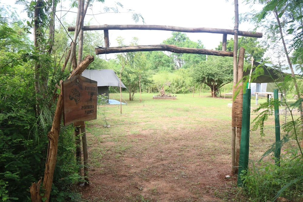 Dev's Campground