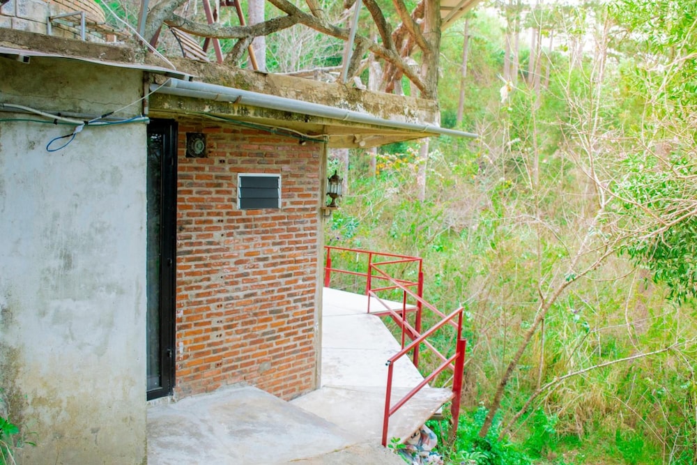 Maple Hostel