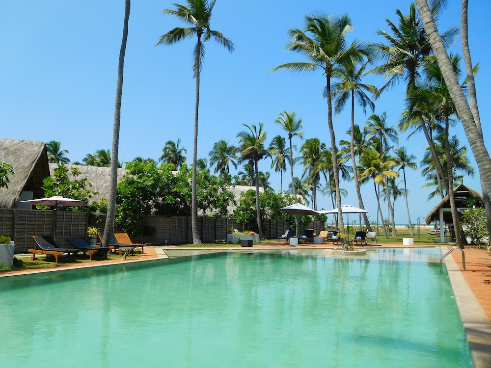 Blue Whale beach boutique Resort