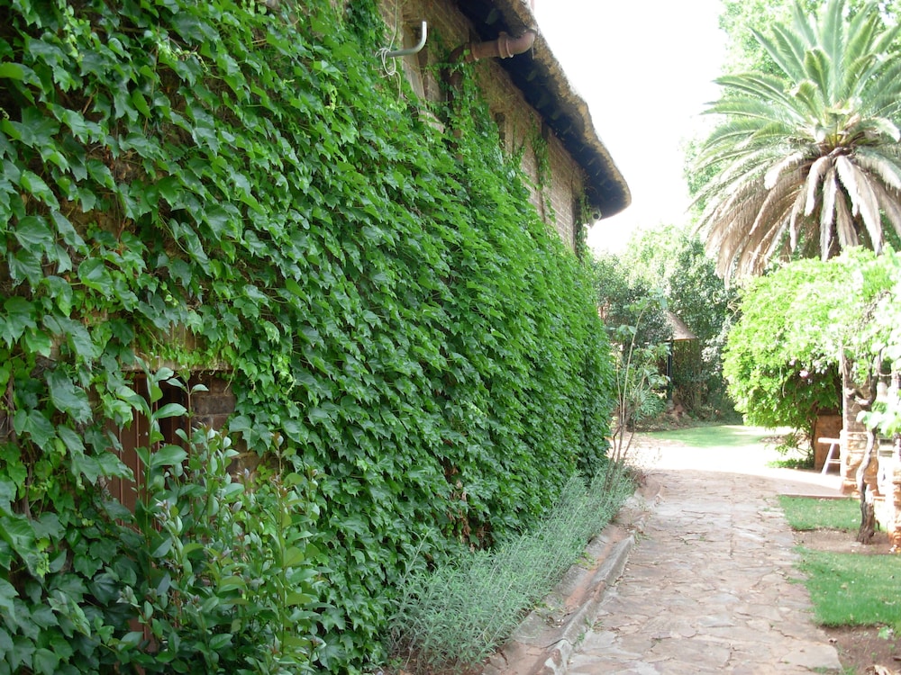 Photo 52
