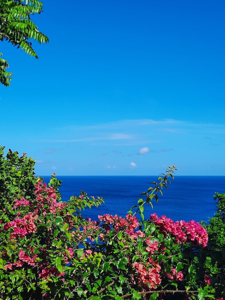 Villa Being - Tobago Luxury B&B