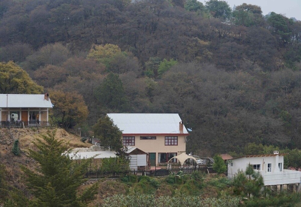 Photo 8