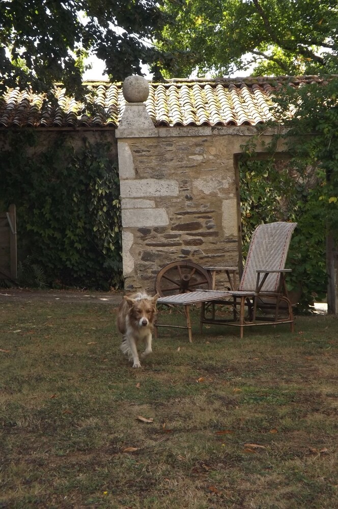 Photo 31