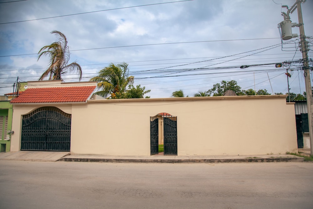 Photo 41