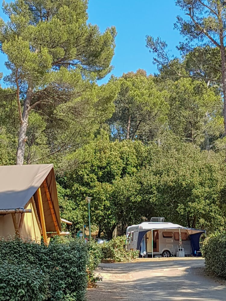 Huttopia Forêt de Janas, photo 8