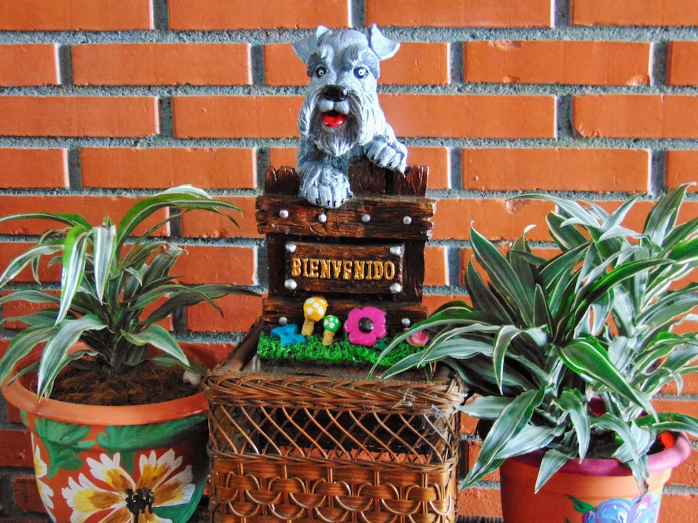 Casa Lima Bed Breakfast - Property Image 69
