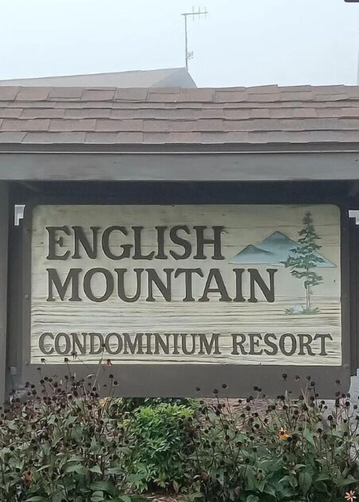 Wakin Bear Cabin 1 Bedroom Condo by Redawning view 5