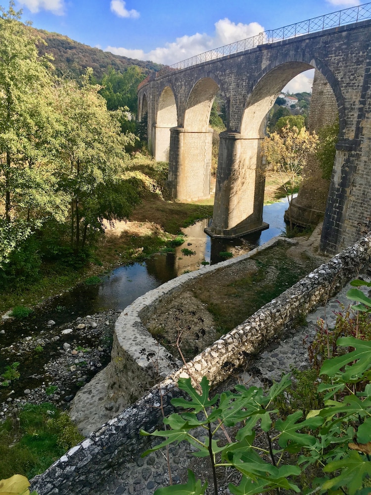 Les Asphodeles