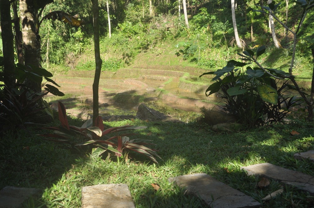 Tepi Sawah Lodge