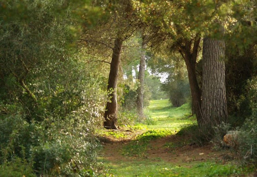 Agroturismo Ses Arenes