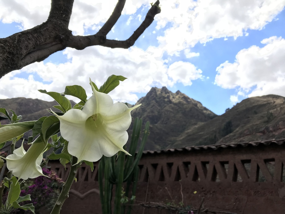Pisac Inca Guest House - Hostel