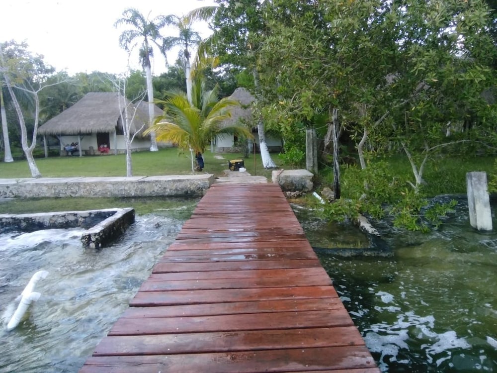 Photo 22