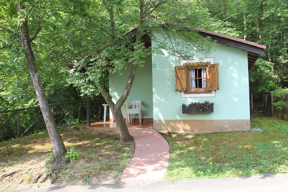 Photo 11