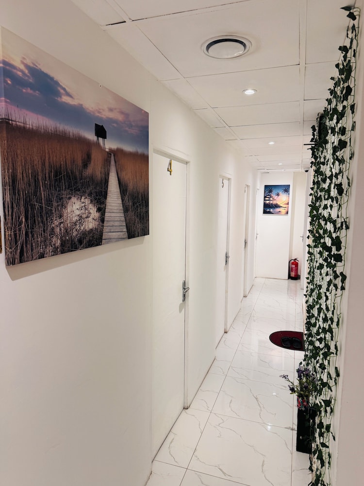 DSV Property