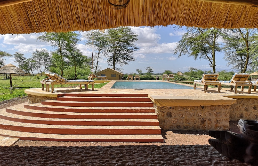 Africa Safari Lake Manyara
