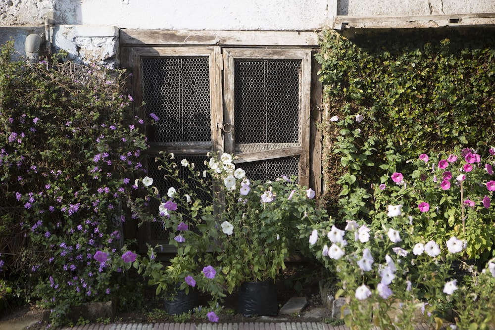 Goomtee Tea Garden Retreat