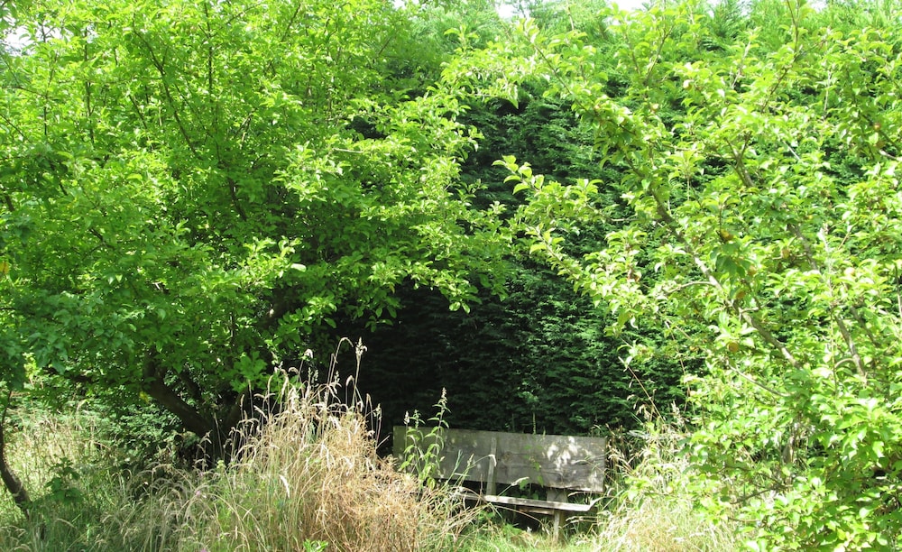 Photo 23