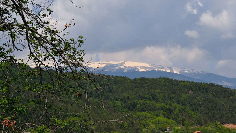 Apalni Cottage photo 4