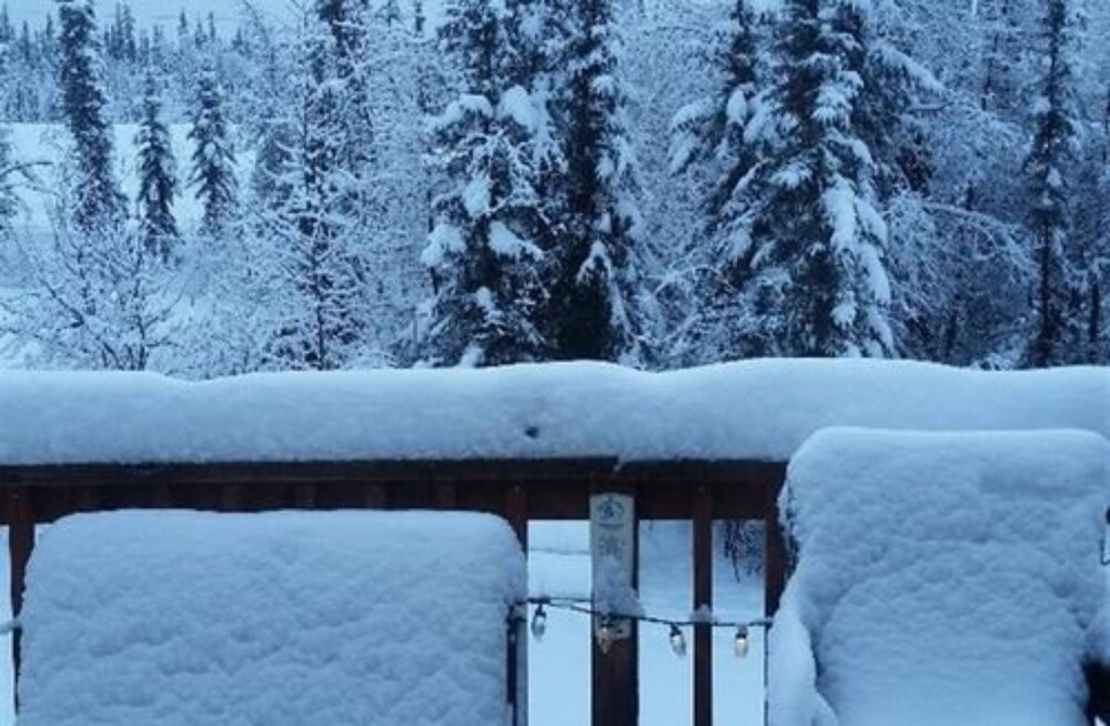 Moose Tracks B  B - Property Image 13