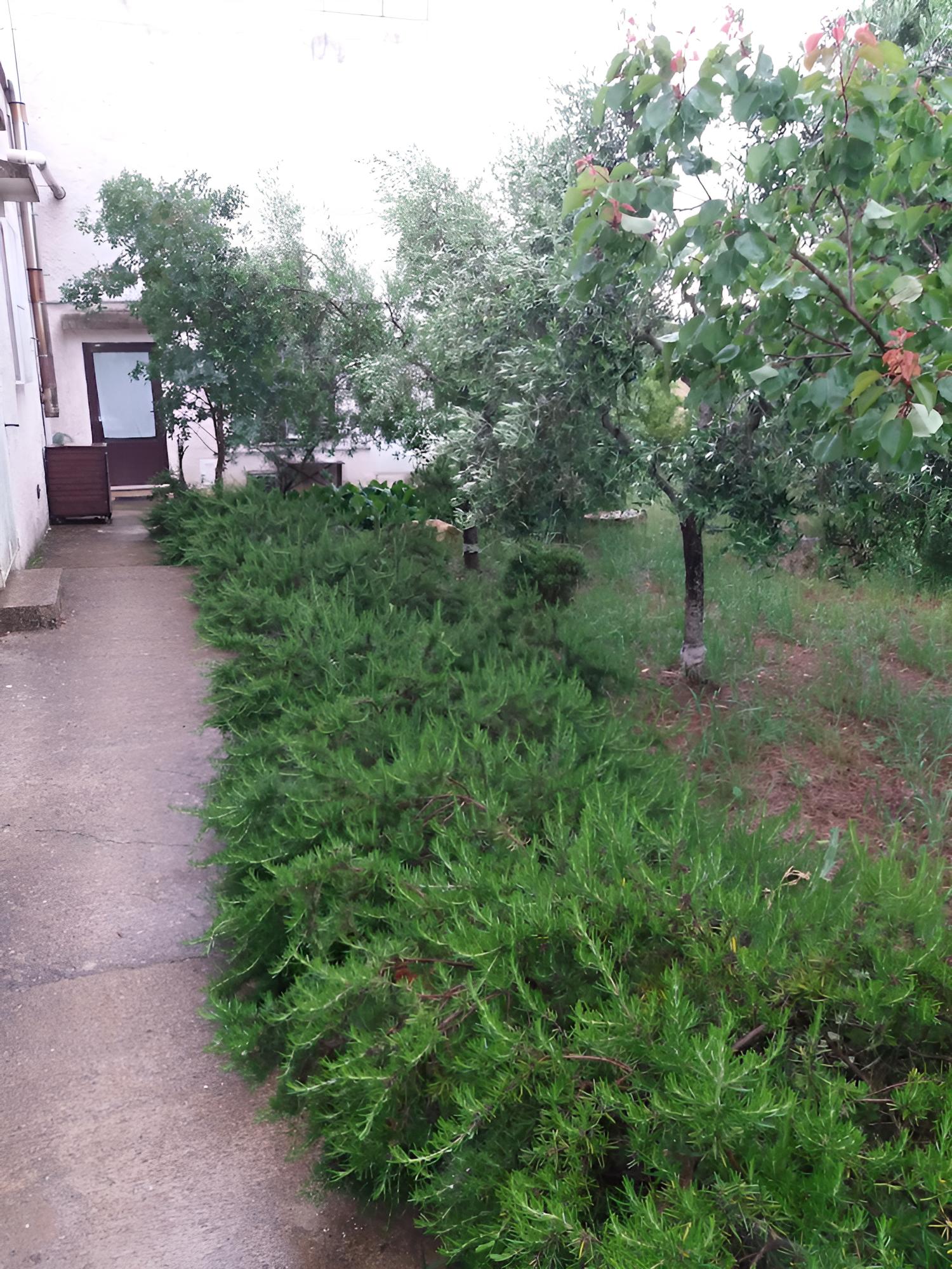 B&B Macchia Mediterranea