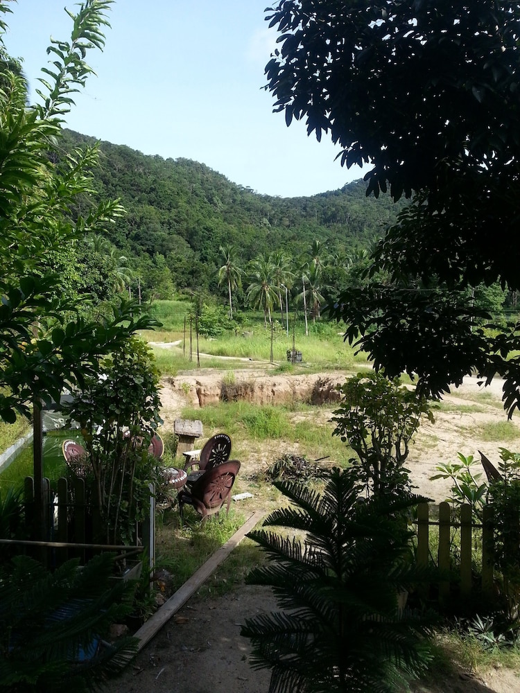 The Tree Madauwan