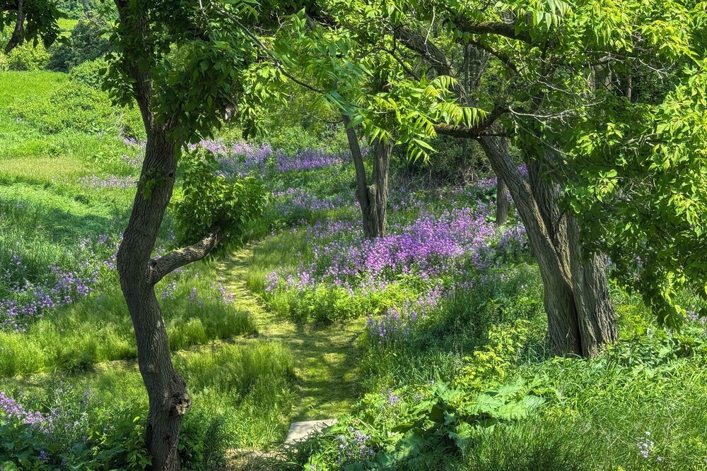 3 Mi to Lake Michigan: Charming Kewaunee Hideaway