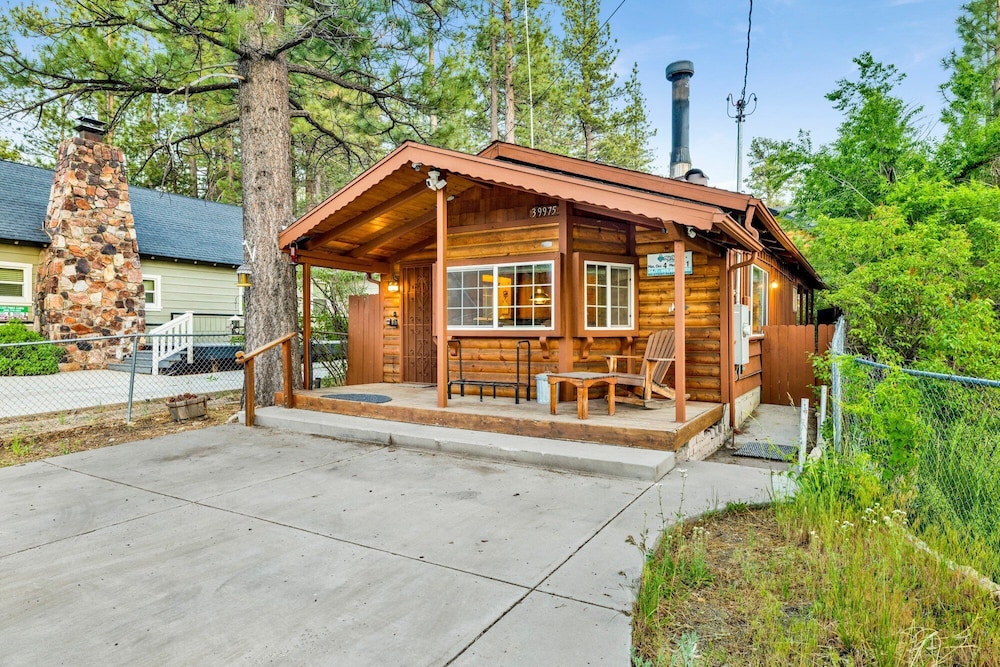 Orchard Family Cabin #2560