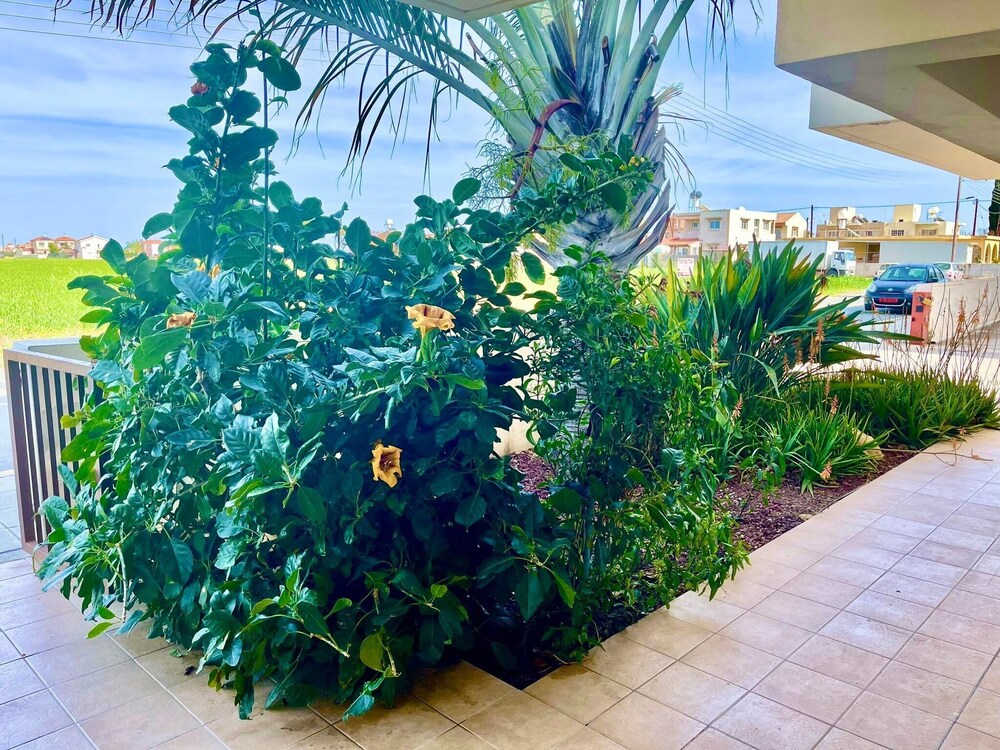 Stunning 1-bed Apartment in Larnaca Near the sea