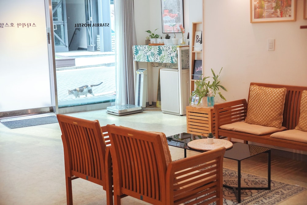 Starria Hostel foreign guest only 5
