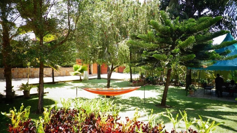 Apricot Guest House