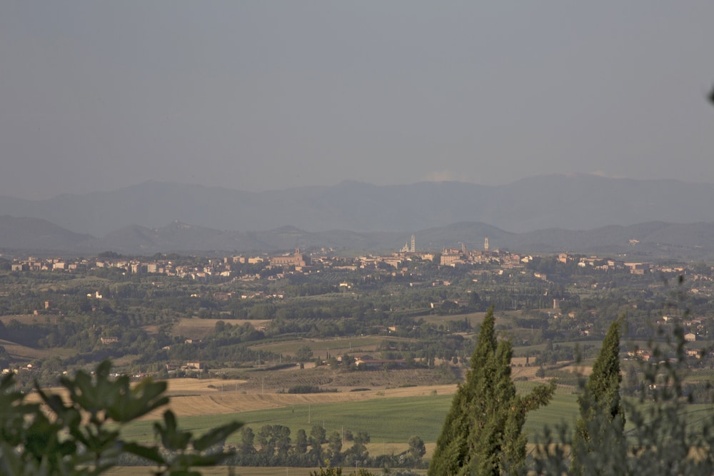 Azienda Agricola Montestigliano