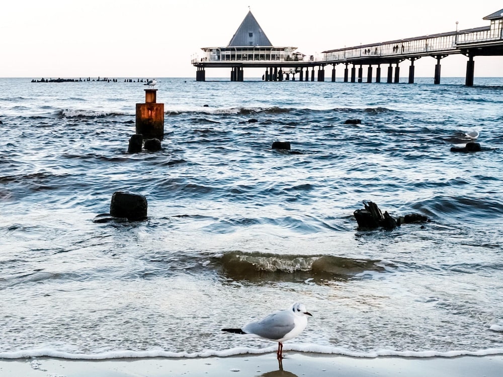 Holiday Home in Heringsdorf Near Baltic Beach