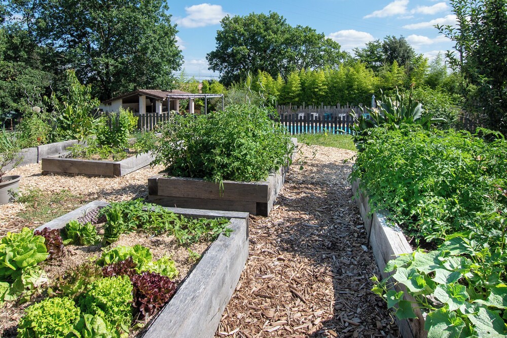 L'Escapade Nature et Gourmande, Chambres d'Hote avec Piscine