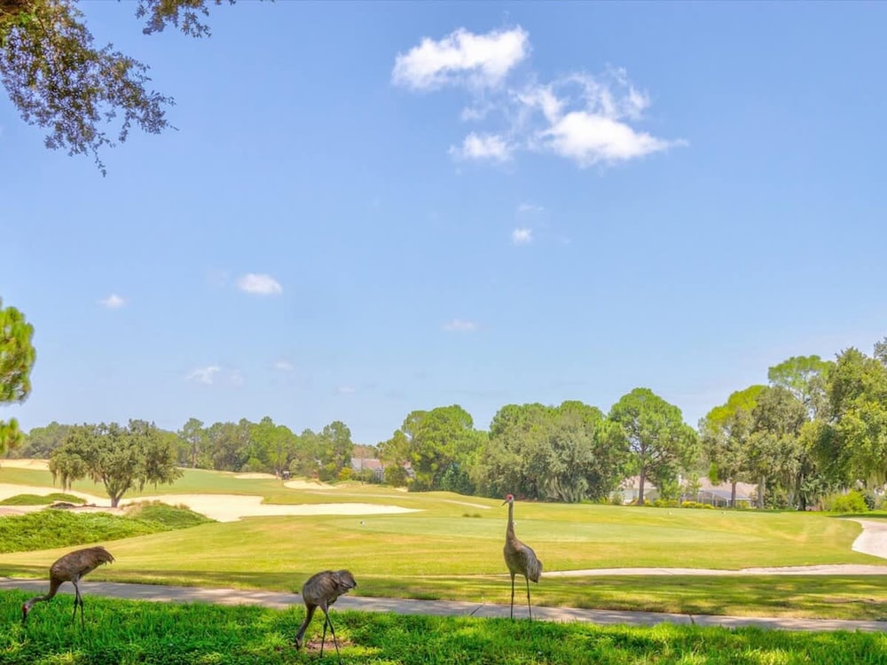 3Bd Villa With Private Pool Golf Walmart 2 min