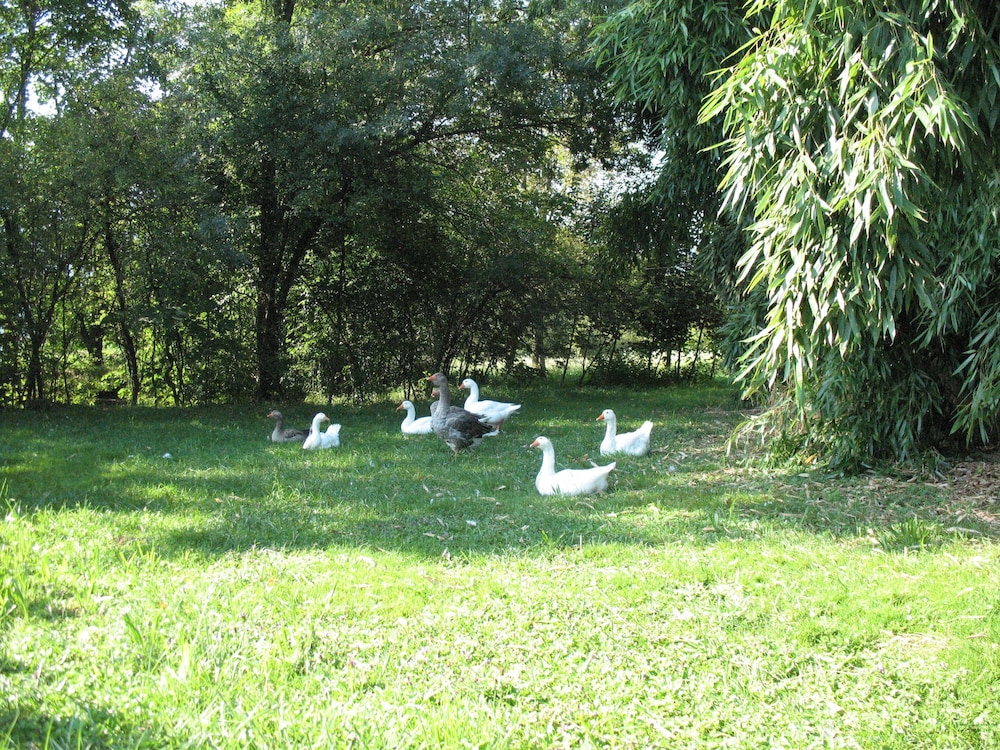 Campo di Cielo