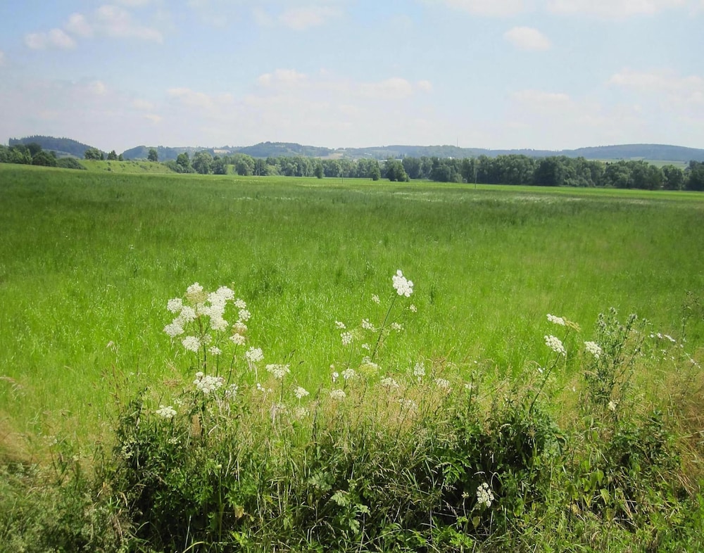 Apartment in Eifel Near Hiking Trails