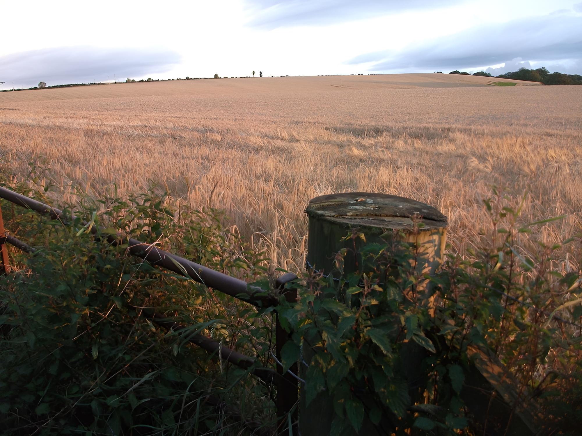 The Granary